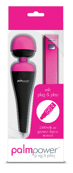 PalmPower Massage Wand Plug & Play USB